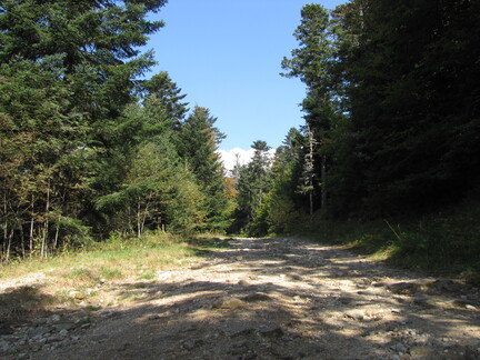 20080926 131202